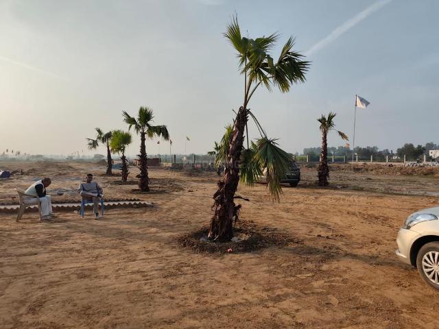 Residential Plot in Jhajjarrural for resale Jhajjar. The reference number is 19594813