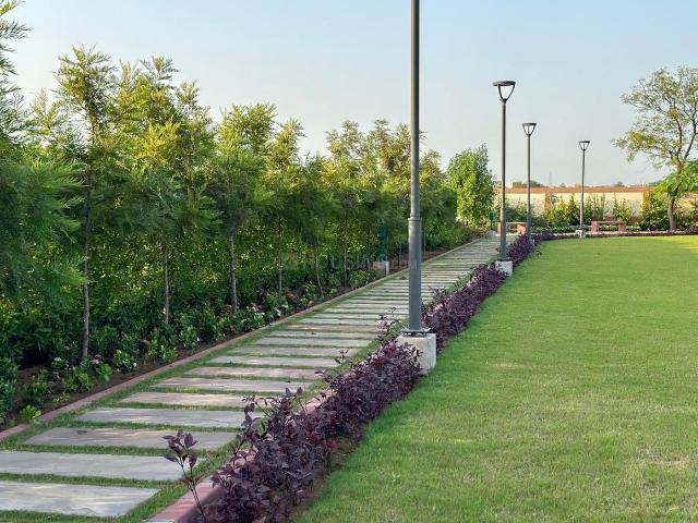 Residential Plot in Jhajjarrural for resale Jhajjar. The reference number is 20133493