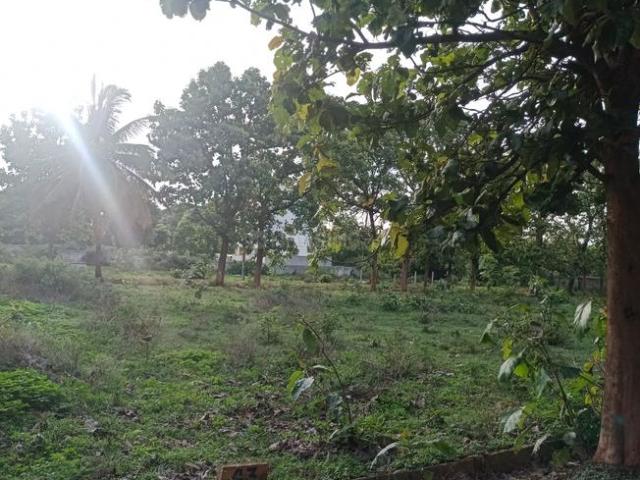 Residential Plot in Jigani for resale Bengaluru. The reference number is 20503334
