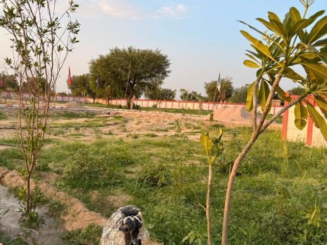 Residential Plot in Jobner for resale Jaipur. The reference number is 20590591