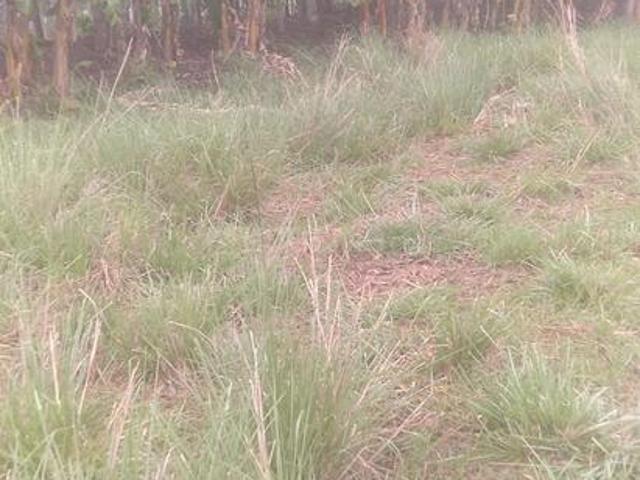 Residential Plot in Joka for resale Kolkata. The reference number is 20611114