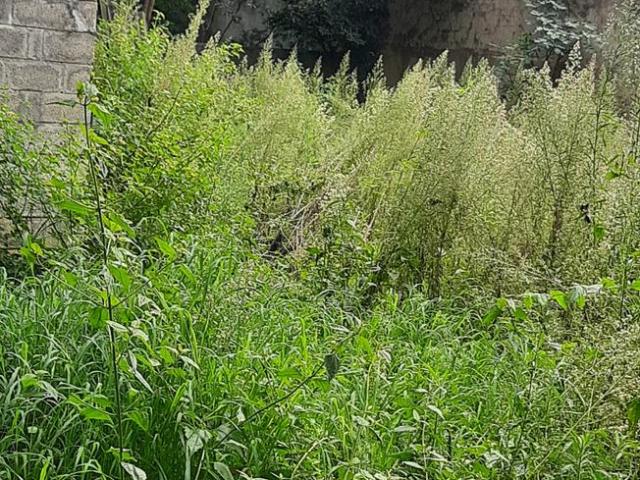 Residential Plot in JP Nagar for resale Bengaluru. The reference number is 6164603