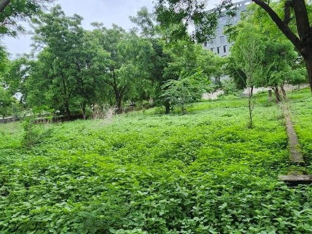 Residential Plot in Kudasan for resale Gandhinagar. The reference number is 18425113