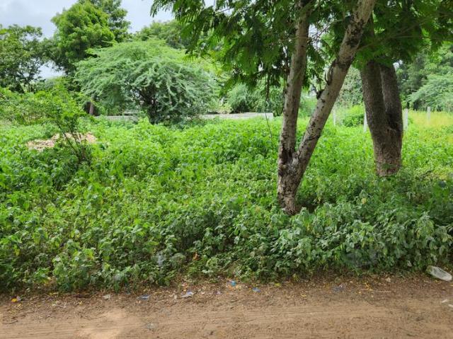 Residential Plot in Kudasan for resale Gandhinagar. The reference number is 20591232