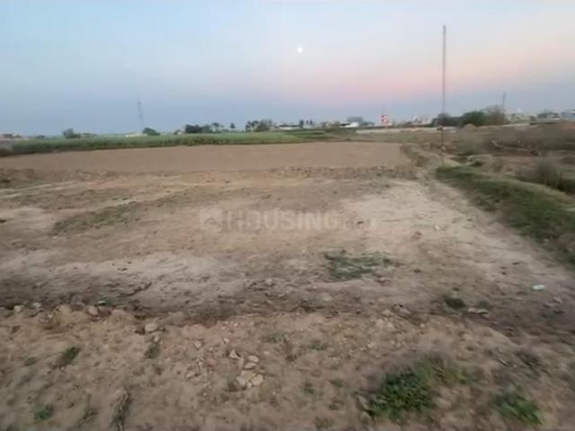 Residential Plot in Kurali for resale Mohali. The reference number is 19709793