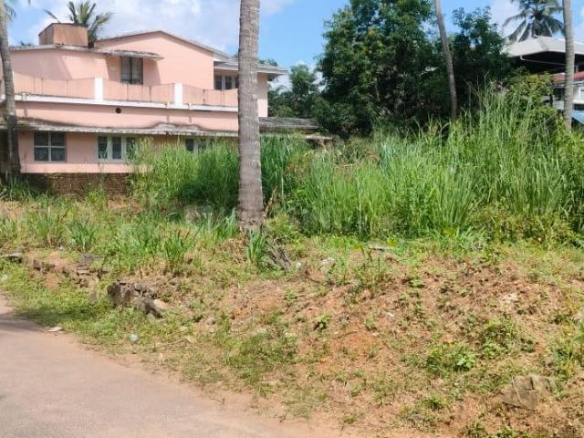 Residential Plot in Kuttanellur for resale Thrissur. The reference number is 18342403