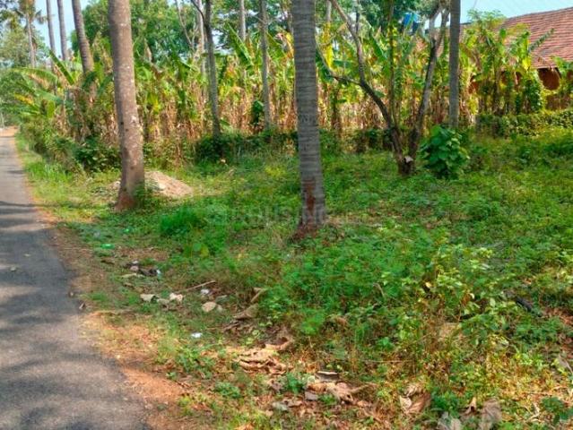 Residential Plot in Kuttanellur for resale Thrissur. The reference number is 19632349