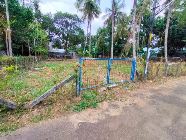 Residential Plot in Kuttanellur for resale Thrissur. The reference number is 20135825