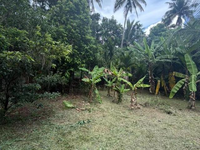 Residential Plot in Kuttoor for resale Thrissur. The reference number is 20382016
