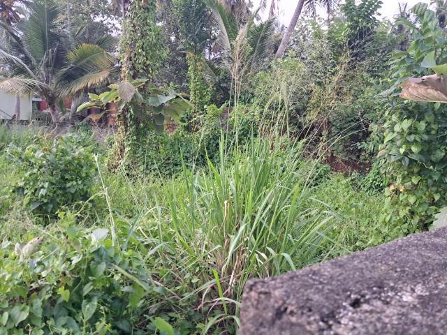 Residential Plot in Kadavanthra for resale Kochi. The reference number is 20350870
