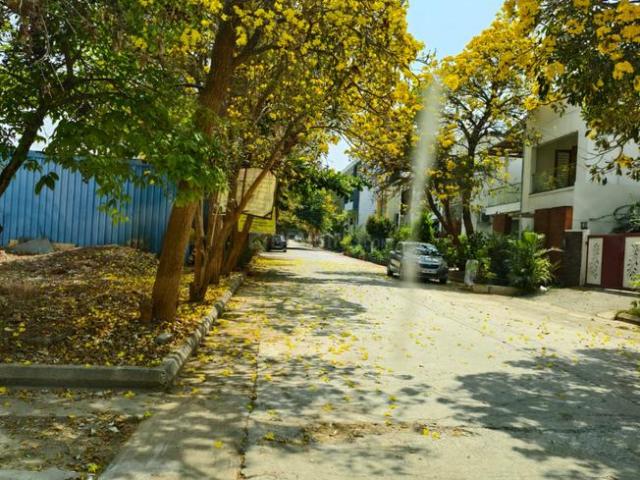 Residential Plot in Kadabagere for resale Bengaluru. The reference number is 19756244