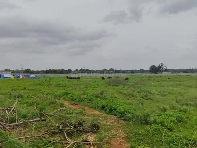 Residential Plot in Kadthal for resale Hyderabad. The reference number is 20879897