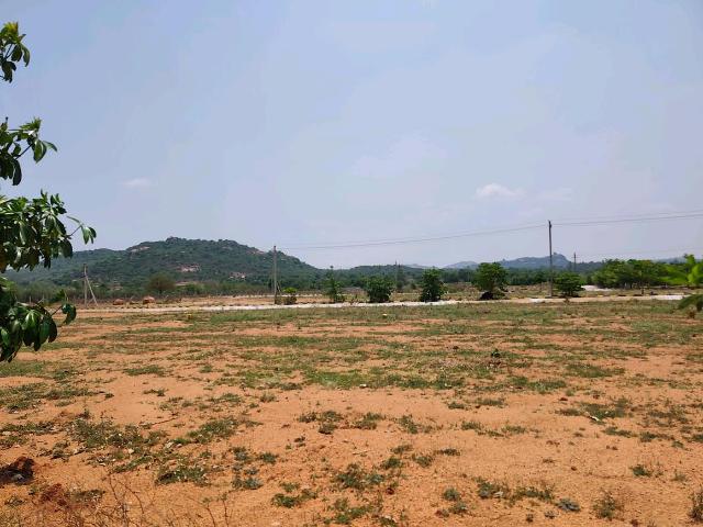 Residential Plot in Kadthal for resale Hyderabad. The reference number is 20155693