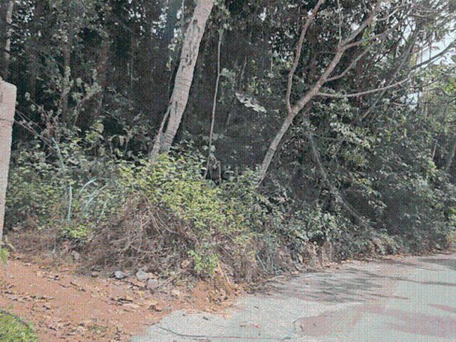 Residential Plot in Kakkanad for resale Kochi. The reference number is 17613793