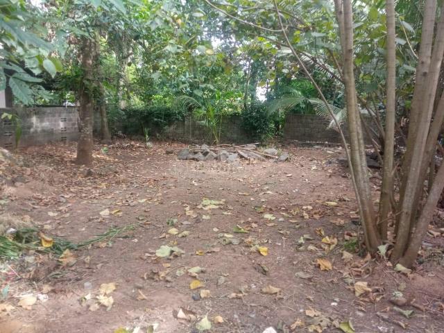 Residential Plot in Kakkanad for resale Kochi. The reference number is 17616753