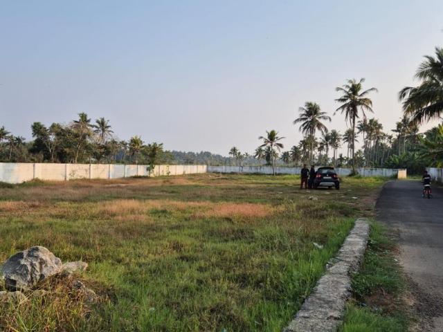 Residential Plot in Kakkanad for resale Kochi. The reference number is 20485815