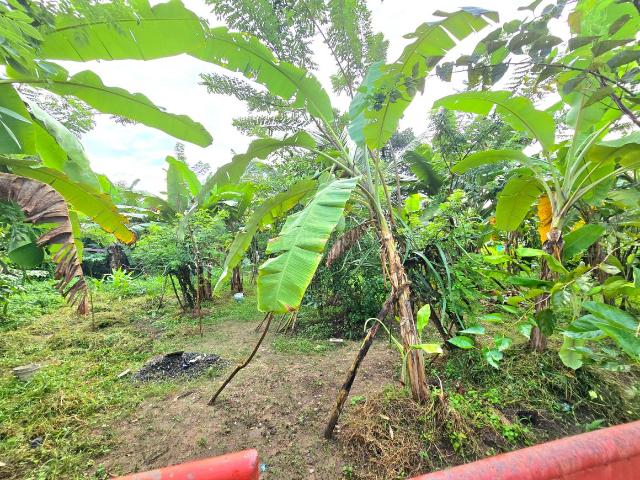 Residential Plot in Kakkanad for resale Kochi. The reference number is 20616663
