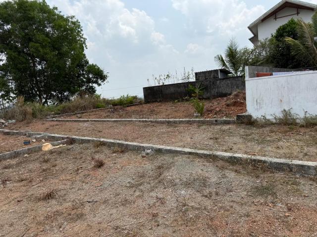 Residential Plot in Kakkanad for resale Kochi. The reference number is 20056579