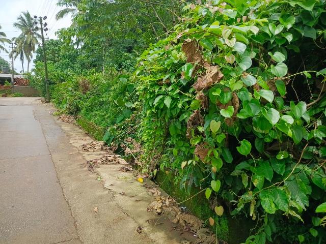 Residential Plot in Kaikamba for resale Mangalore. The reference number is 20757768