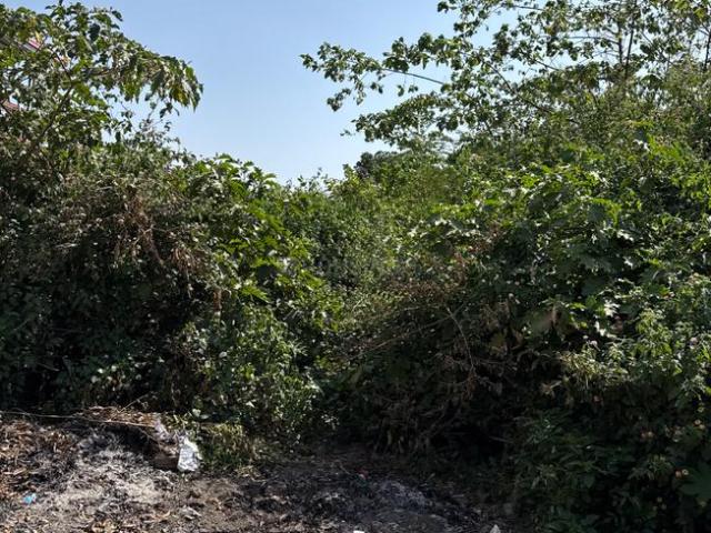 Residential Plot in Kairwaan Gaon for resale Dehradun. The reference number is 20277227
