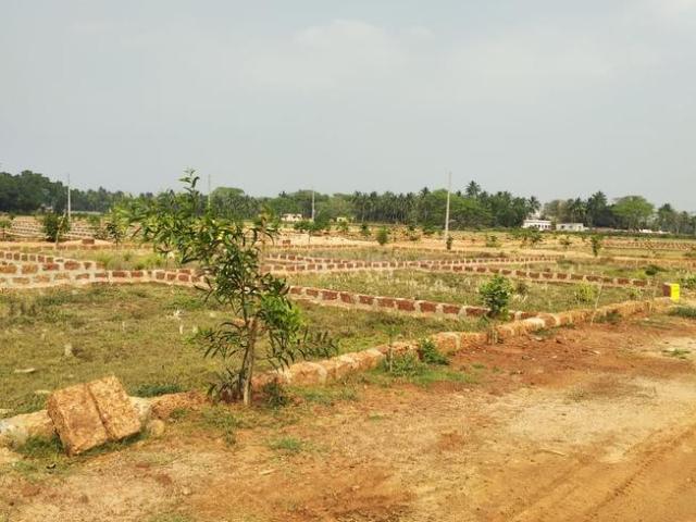Residential Plot in Kairi for resale Bhubaneswar. The reference number is 14812442