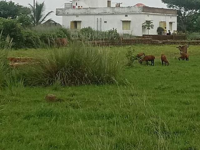 Residential Plot in Kairi for resale Bhubaneswar. The reference number is 14866954