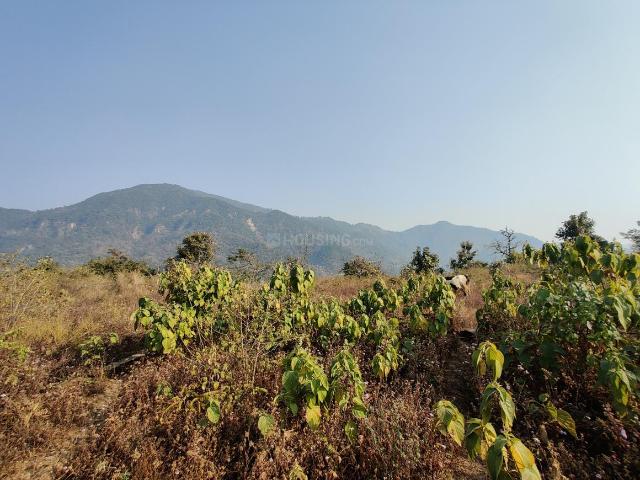 Residential Plot in Kalagaon for resale Dehradun. The reference number is 19332880