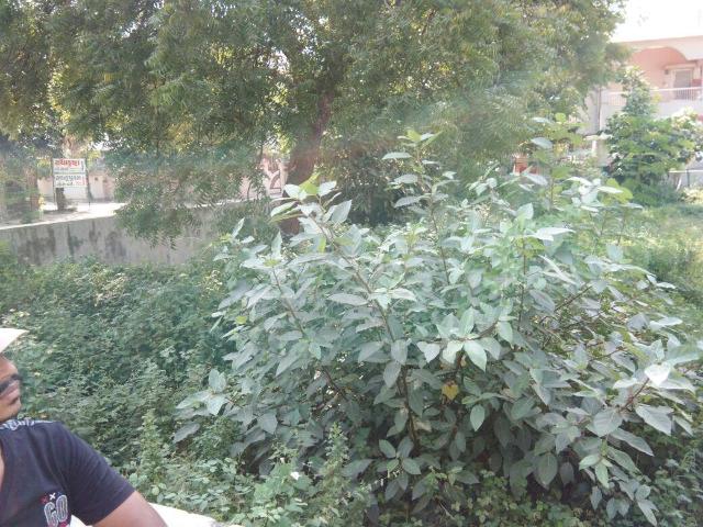 Residential Plot in Kalali for resale Vadodara. The reference number is 17710508