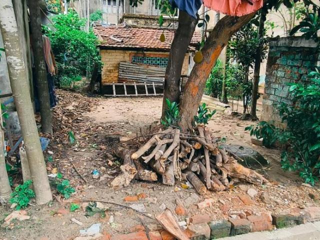 Residential Plot in Kamdahari for resale Kolkata. The reference number is 15379831