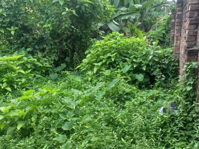 Residential Plot in Kanchrapara for resale North 24 Parganas District. The reference number is 20083943