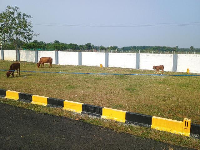 Residential Plot in Kandigai, Chengalpattu for resale Chennai. The reference number is 18316284