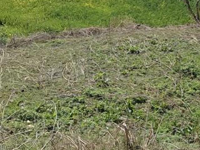 Residential Plot in Kasauli for resale Solan. The reference number is 17512206