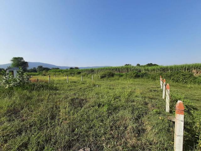 Residential Plot in Kasarsai for resale Pune. The reference number is 11130004