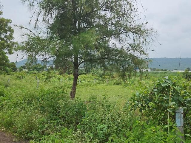 Residential Plot in Kasarsai for resale Pune. The reference number is 13037093
