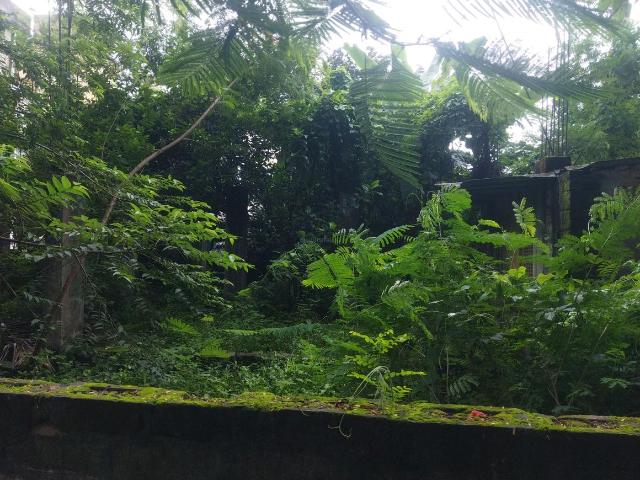 Residential Plot in Kasba for resale Kolkata. The reference number is 17243511