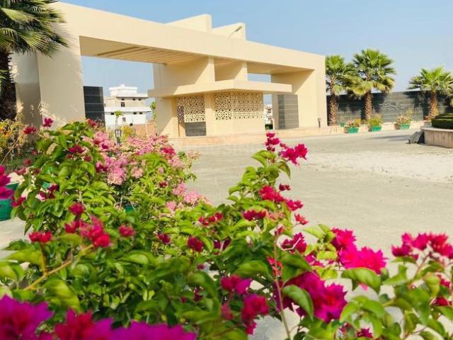 Residential Plot in Kasimpur Viruha for resale Lucknow. The reference number is 19410695