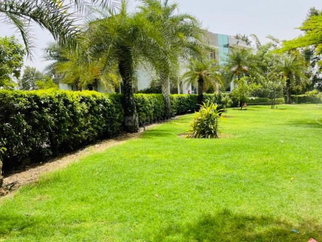 Residential Plot in Karnki for resale Gurgaon. The reference number is 13736518