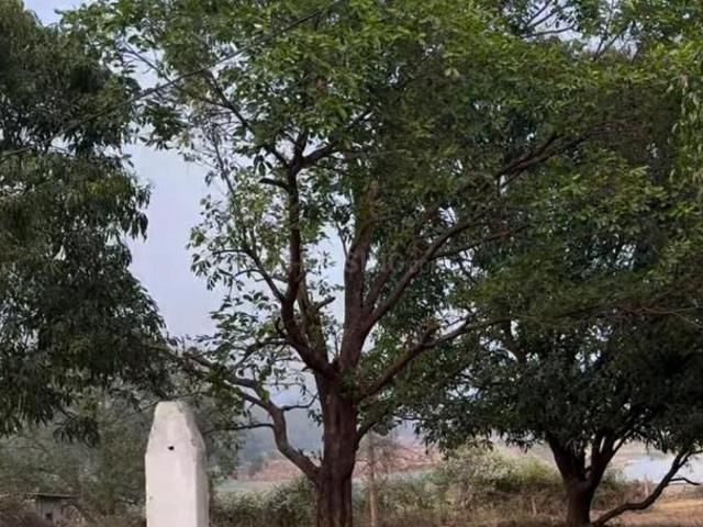 Residential Plot in Karjat for resale Thane. The reference number is 20489006