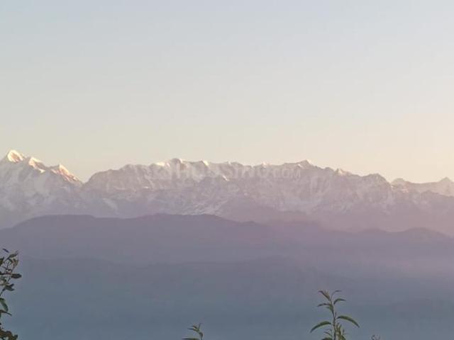 Residential Plot in Kausani for resale Almora. The reference number is 16235702