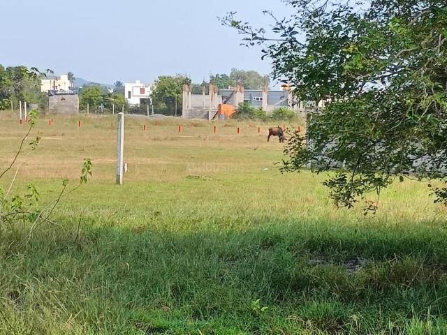 Residential Plot in Kayarambedu for resale Chennai. The reference number is 20328006
