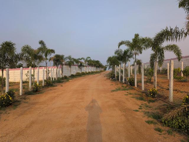 Residential Plot in China Laxma Puram for resale Yadadri Bhuvanagiri. The reference number is 20225758