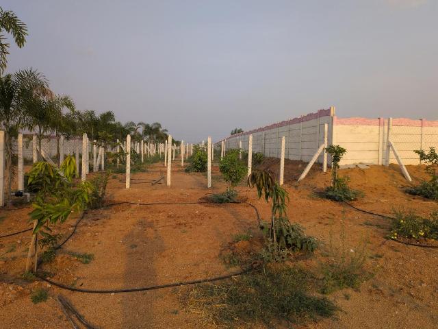 Residential Plot in China Laxma Puram for resale Yadadri Bhuvanagiri. The reference number is 20225775