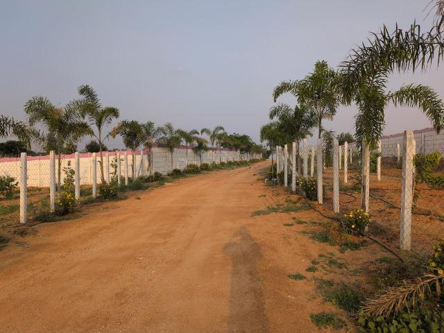 Residential Plot in China Laxma Puram for resale Yadadri Bhuvanagiri. The reference number is 20225790