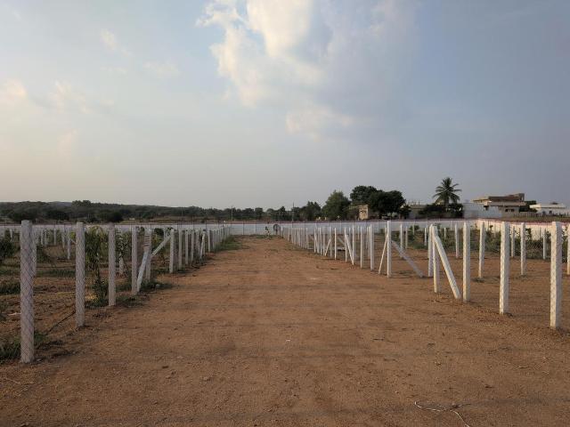 Residential Plot in China Laxma Puram for resale Yadadri Bhuvanagiri. The reference number is 20225193