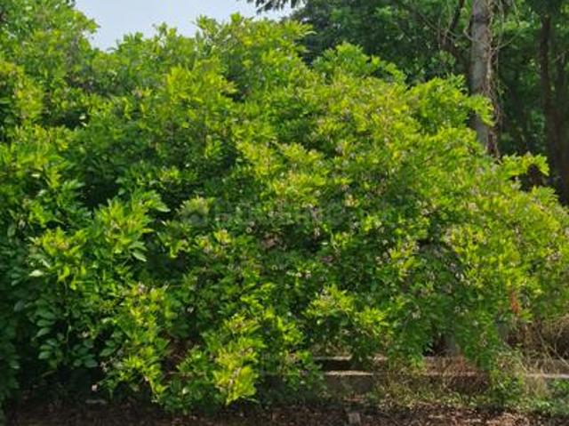 Residential Plot in Kengeri Satellite Town for resale Bengaluru. The reference number is 19859684
