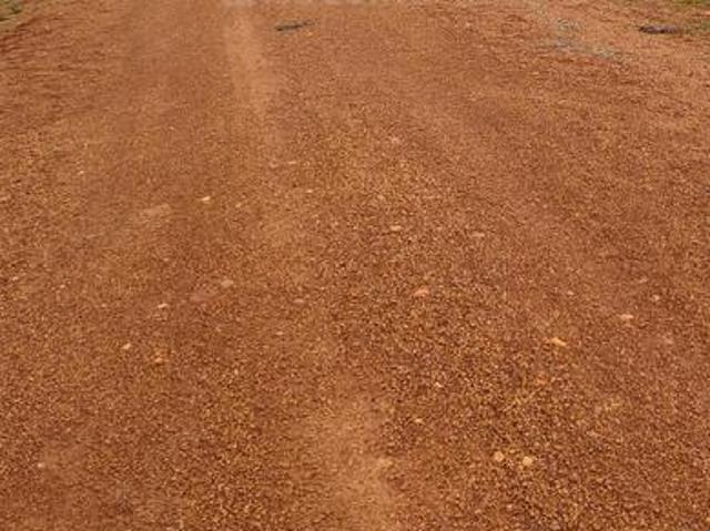 Residential Plot in Khamtarai for resale Bilaspur. The reference number is 20792792