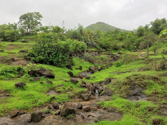 Residential Plot in Khamboli for resale Pune. The reference number is 6307398