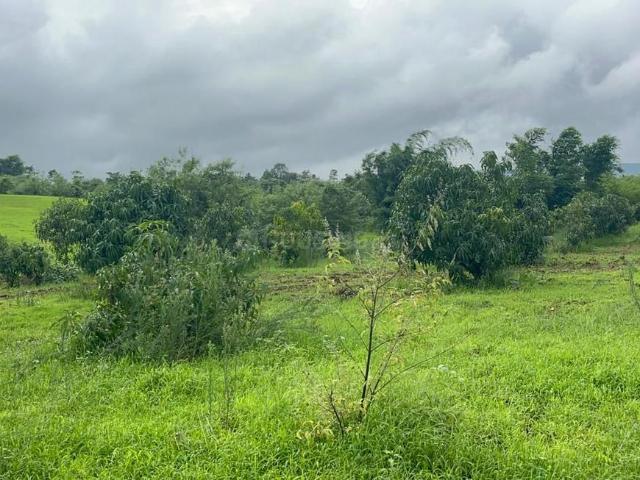 Residential Plot in Khandi for resale Pune. The reference number is 20257178