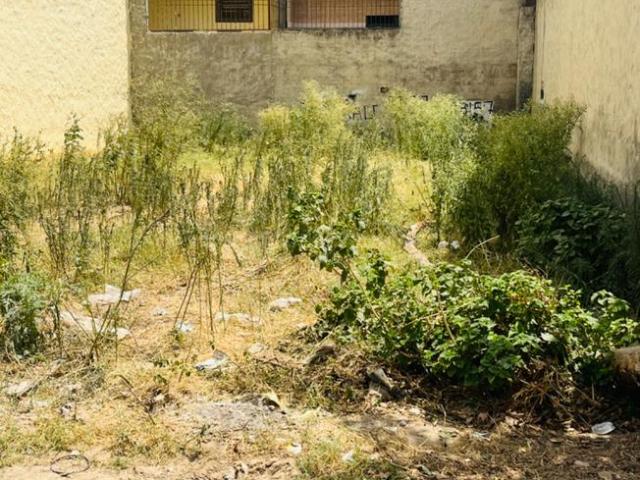 Residential Plot in Kharar for resale Mohali. The reference number is 14959551