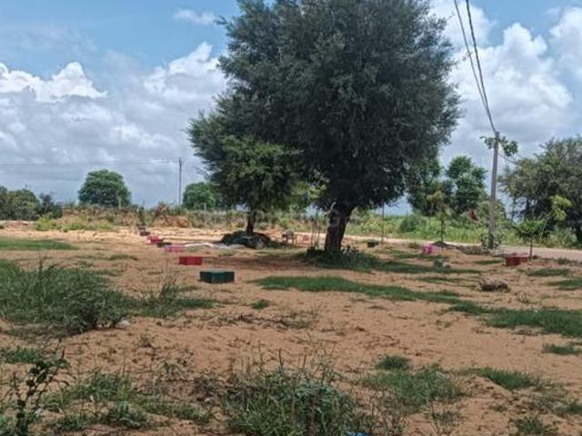 Residential Plot in Khatu for resale Sikar. The reference number is 20790896